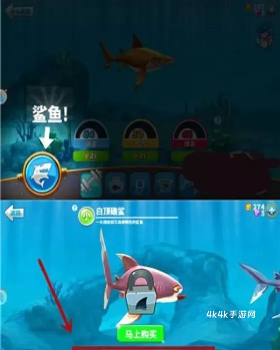 饥饿鲨世界国际服正版_https://m.4k4k.cn_动作冒险_第5张