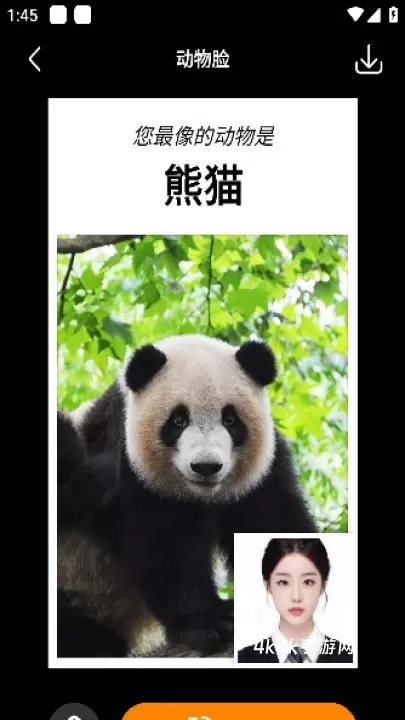 桔子相机_https://m.4k4k.cn_摄影图像_第6张