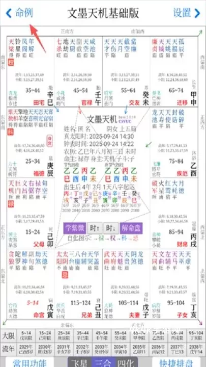文墨天机紫微斗数排盘_https://m.4k4k.cn_系统工具_第1张