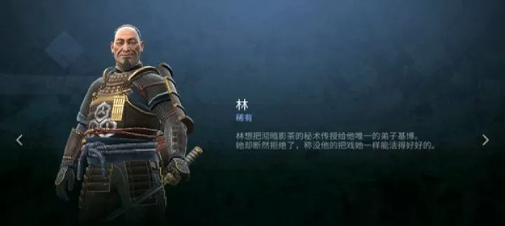 暗影格斗4_https://m.4k4k.cn_动作冒险_第2张